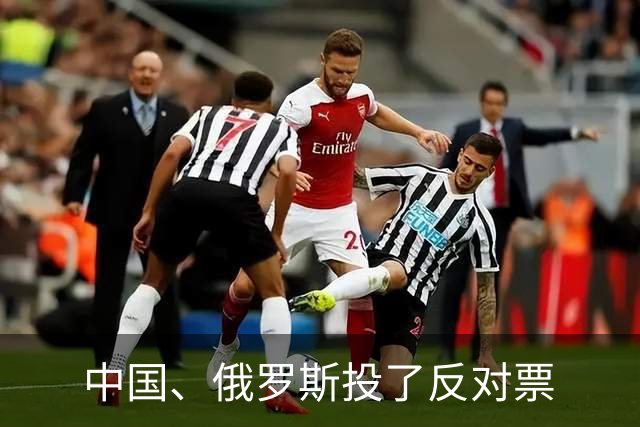 中国、俄罗斯投了反对票